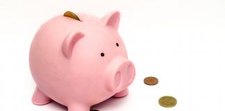 money pink coins pig