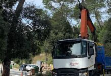 Bigues i Riells empieza la tala de pinos para garantizar la seguridad del camino de Can Badell