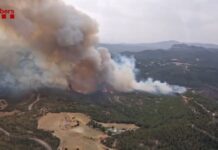 Un importante incendio forestal en Sant Quirze Safaja moviliza a los Bombers