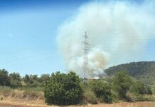 Numerosas unidades de bomberos trabajan en un incendio forestal en Sentmenat
